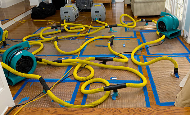 Professional Storm Water Damage Restoration technician working in Salisbury, MO